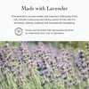 evanhealy Blue Lavender Cleansing Milk | Soothe & Calm Reactive Skin | Moisturizing Gentle Deep Clean For Sensitive Skin