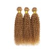 Honey Blonde Bundles Color #27 Curly Human Hair Bundles Brazilian Virgin Hair Color #27 Bundles Human Hair Honey Blonde Kinky Curly Bundles Hair Weave 16 18 20 Inch