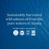 New Chapter Wholemega Fish Oil Supplement - Wild Alaskan Salmon Oil with Omega-3 + Vitamin D3 + Astaxanthin + Sustainably Caught - 60 ct, 1000mg Softgels