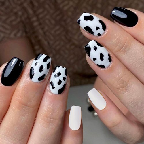 BABALAL Square Press on Nails Short Cow Print Nails Glue on Nails Black Glossy Acrylic Nails 24Pcs Cute Squoval Fake Nails for Women and Girls