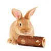 SunGrow Rabbit Log Chew, 8 Inches, Fresh Lumber Contemporary Textured Design 2-in-1 Hay Feeder and Molar Bunny Log Chew Teeth Care Toy, for Chinchilla, Hamster, Guinea Pig, Gerbils, Small Animals