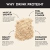 JUST INGREDIENTS Protein Powder | Vanilla Protein Powder Made with 100% Grass Fed, Non Denatured Whey | Four Different Protein Sources from Organic Whole Food Ingredients | 15 Servings | 22g Protein
