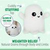 1i4 Group Warm Pals Scented Glow in The Dark Ghost, Microwavable Heatable and Coolable Bedtime Comfort Plush Toys Filled with Natural Grains and Lavender