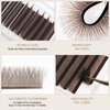 NATUHANA W Shaped Clover Eyelash Extension 4D Premade Fans 0.07mm L Curl 8-14 Mixed Tray Volume Lash Cluster W Lashes Supplies Lash Extensions (4D brown;0.07 L, 8-14 MIX)