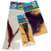 Litterboy pets The Da Bird Super Pack (Includes 1 Da Bird Original 36" Single Pole Cat Toy, Feather Refill, Sparkly Attachment, Kitty Puff Attachment & Peacock Feather)