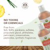 Natural Shampoo for Oily Hair & Scalp - Organic, Raw & Wildcrafted with Probiotics, Hypoallergenic & Sulfate Free Herbal Shampoo for Oil Control, Dandruff, Seborrheic Dermatitis - 9 Oz, Original