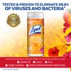 Lysol Disinfectant Wipes, Multi-Surface Antibacterial Cleaning Wipes, for Disinfecting and Cleaning, Mango and Hibiscus Scent, 35ct