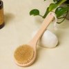 HiKin Dry Bath Body Brush Back Scrubber 9.84", Short Handle Natural Bristles Bath & Shower Brush with Anti-Slip Wooden Handle, Perfect for Exfoliating/Blood Circulation/Detox and Cellulite, etc.