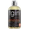tgin Moisture Rich Sulfate Free Shampoo For Natural Hair - Dry Hair - Curly Hair - 13 Oz