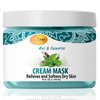 SPA REDI - Body and Foot Cream Mask, Mint and Eucalyptus, 16 Oz - Pedicure Massage for Tired Feet and Body, Hydrating, Fresh Skin