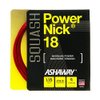 Ashaway POWERNICK 18 Squash String Set