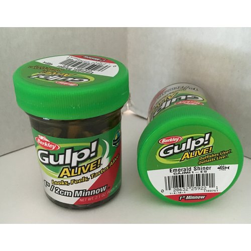 GULP ALIVE Bait 1 INCH Emerald Shiner Minnow 2 jar Bundle Berkley gulp Alive Perch Minnows ice Fishing Bait Panfish Minnow