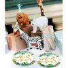 HSPAIDYP 24 Pcs Baby Shower Plates,Safari Animal Jungle Baby Boy Party Supplies,7" Gold Foil Safari Jungle Animals Paper Plates,for Jungle Theme Baby Boy Birthday Party Decorations