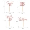48Pcs 16th Birthday Cupcake Toppers Glitter Sweet 16 Hello 16 Cake Topper Sixteen Years Old Cupcake Picks for Boy Girl Happy 16th Birthday Party Cake Decorations Supplies Rose Gold