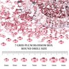 BELICEY 6000Pcs Resin Crystals Rhinestone Kit Light Pink 2/3/4/5/6mm Flatback Rhinestones Round Gems Beads with Tweezers and Picking Pen for Manicure DIY Crafts Clothes Bags Tumblers Decoration