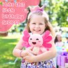 HyDren 10 Inch Happy Plushy Birthday Plush Pink Axolotl Plush Soft Cute Stuffed Animal Plush Pillow Kawaii Birthday Gifts for Kids Girls Party Favor Bedroom Home Decor