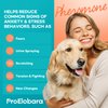 ProElobara Dog Calming Pheromone Diffuser Refills: Dog Calming Pheromones Diffuser Refills - Reduces Stress & Anxiety Calming Pheromone Diffuser Refill for Dogs - 3 Refills / 90 Day Supply