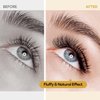Y Lashes Extensions YY Lash Extensions C Curl 0.07mm 8-15mm Mix Tray Y Shape 4D Volume Premade Fan Lashes Matte Black Easy Fans Lashes Professional Use YY Lash (YY-0.07-C, 8-15mm Mix)