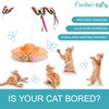 Caroline's Cats Automatic Butterfly Cat Toy – 2 in 1 Cat Toy Auto Shut Off & Catnip Ball Track; Recommended Cat Enrichment Toy