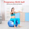 PRIMASOLE Exercise Ball for Balance Stability Fitness Workout Yoga Pilates at Home Office & Gym 45cm Blue
