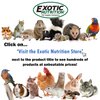 Coco Cuttle - Interactive Natural Calcium Supplement Chew Toy - Sugar Gliders, Chinchillas, Squirrels, Prairie Dogs, Degus, Opossums, Parrots, Birds, Rats, Rabbits, Hamsters, Guinea Pigs
