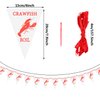 13.1 ft Crawfish Pennant Banner Mardi Gras Hanging Banner Decorations for Crawfish Party Supplies (3 Pack)