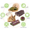 50-60 Pcs Rabbit Chew Toys, Guinea Pig Chew Toys, Hamster Chew Toys, Bunny Chew Toys, Rabbit Chew Toys for Teeth, Sweet Bamboo, Apple Stick, Timothy Stick, Prevent Teeth Overgrowth, Clean Teeth