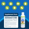 Core Med Science Liposomal Vitamin C 1000mg Liquid - Original Formula, 5 Fl Oz - Natural Liposomal Vitamin C Supplement Non-GMO - Immune System Booster for Adults - Supports Collagen Formation