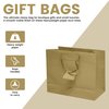 Novel Box Gold Gift Bags with Handles 10 Pack Wide Paper Bags - Shopping Bags Bulk Gift Bags Business, Shopping, Birthday Paper Shopping Bags - Shopping Bags for Groceries