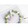 FIDDY898 Green Leaf Flower Crown Eucalyptus Crown Wedding Bridal Maternity Photo Props Headpiece J01