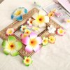 Jinshining 10Pcs Multicolor Hawaii Plumeria Flower Clips, Artificial Tropical Flower Hairpins for Wedding, Beach Party Hair Clips and Barrettes, Hair Accessory, 10 cm, Unisex, 10 Pieces