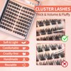 Cluster Lashes Wispy Individual Lash Extensions D Curl Natural Lash Clusters 10-14.5MM 132 Pcs DIY Eyelash Extension Cat Eye Eyelash Clusters with Tweezers Self-application at Home by MLEN DIARY