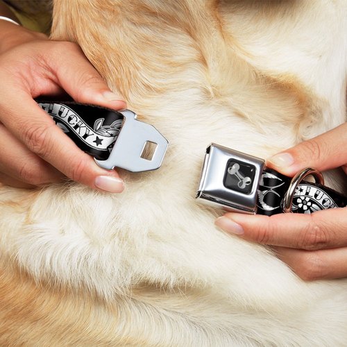 Buckle-Down Dog Collar Seatbelt Buckle Lucky Black White, 1" Wide - Fits 9-15" Neck - Small (DC-W31216-S)