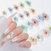 20 Pcs 3D Nail Charms Flower Nail Art Charms Pearl Petals Nail Gems and Rhinestones Handmade by Acrylic Nail Decorations Accessories for Women Girls Nail DIY Crafting Supplie