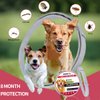 Flea and Tick Collar for Dogs, Flea and Tick Prevention for Dog, 27 Inch, 16 Month Protection, 2 Pack