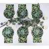DISRUB Camouflage Party Supplies Tableware Set Including Camouflage Paper Plates Cups Napkins Straws Serves 16 for Camouflage Birthday Baby Shower Party
