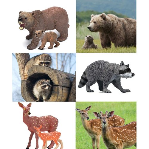 Forest Animals Figurines Toys, 10PCS Realistic Plastic Wild Woodland Animals Figures Playset, Cake Toppers Birthday Gift for Kids Children Toddlers