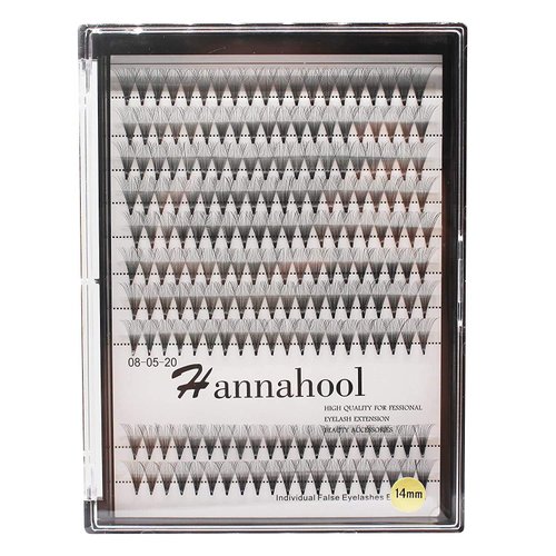 Hannahool 10Rows-200Pcs 20D Natural Long Individual False Eyelashes Cluster Thickness 0.07mm D Curl Volume Premade Fans Eye Lashes Extensions Soft and Lightweight Dramatic Look (17mm)