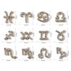 JERCLITY 48 Pieces Gold Silver Alloy Zodiac Nail Charms Zodiac Signs Nail Studs Constellation Words Charms for Nails Twelve Constellation Nail Charms Set for Women Girls Nail Art