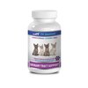 PET SUPPLEMENTS cat Urinary Diet - Urinary Tract Support - for Cats - Natural Formula - CHEWABLE - cat Cranberry Urinary - 1 Bottle (90 Chews)