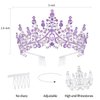 VELSCRUN Purple Crystal Birthday Tiara Crowns for Women Girls It's My Birthday Sash Queen Girls Princess Crown with Combs Happy Birthday Party Decorations Mom Sisters Birthday Gift Hair Accessories