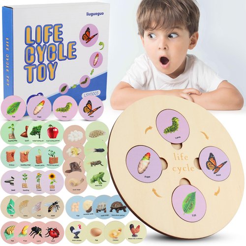 liuguoguo Life Cycle Toys for Kids, Learning & Educational Science Kits, Preschool Learning Toys for Toddler Age 3 4 5 6 7 8