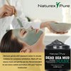 Naturex Pure Dead Sea Mud Mask – Luxurious Mud Masks for Women and Men – Advanced All-Natural Dead Sea Mud Mask for Blackheads, Whiteheads, Hyperpigmentation, Acne – 8.8fl oz