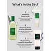 AROMATICA Rosemary Hair Care Holiday Gift Set - Shampoo for hair growth & Heat Protection Leave in Treatment & Scalp Treatment - Vegan and Silicone Free