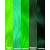 Lunar Tides Semi-Permanent Hair Color (43 colors) (Juniper Green)