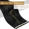 Ve Sunny Black Tape in Hair Extensions Human Hair #1 Jet Black Tape in Human Hair Extensions Adhesive Pu Tape in Hair Extensions Real Human Hair Black Hair Extensions Skin Weft 25g 10pcs 16inch