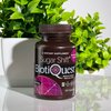 BiotiQuest Sugar Shift Probiotics, 22 Billion CFU, Non-GMO and Gluten Free, 60 Capsules