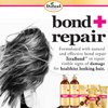 Difeel Bond & Repair Leave in Hair Treatment for Severely Damaged Hair 6 oz. - Deep Bond Hair Treatment, Bond Rebuilder for Hair Repair