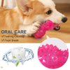 Petper CW-0087 Dog Squeaky Toy, Durable TPR Dog Toy with Massage Particles, Pink
