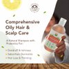 Natural Shampoo for Oily Hair & Scalp - Organic, Raw & Wildcrafted with Probiotics, Hypoallergenic & Sulfate Free Herbal Shampoo for Oil Control, Dandruff, Seborrheic Dermatitis - 9 Oz, Original